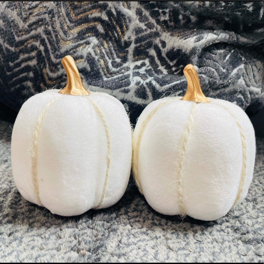 2 small white pumpkins.